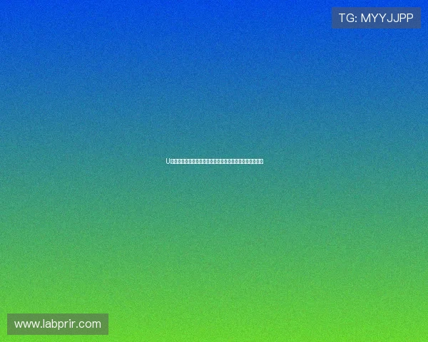 U体育百家乐官网客户服务体系详解及常见问题解决方案介绍