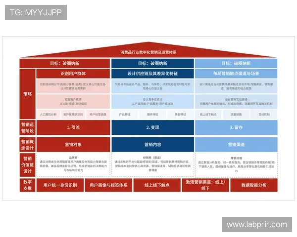 db真人对接流程详解及常见问题解决方案全攻略